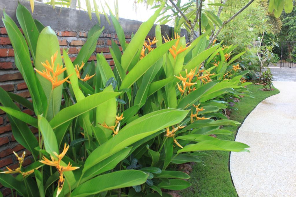 Albany Home Stay Kuta  Eksteriør billede